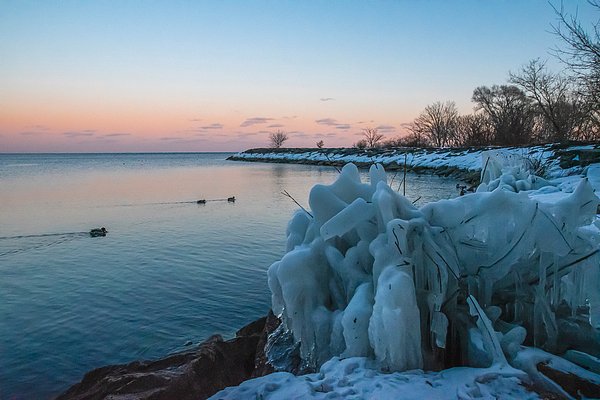 jrtwynam's tweet photo. As the sun begins its descent, casting a warm glow over the #frigid waters of #LakeOntario at #SamSmithPark in #Toronto, #Ontario, a group of ducks glides across the surface of the lake.
#BuyIntoArt #Nature #NaturePhotography #Cold #Frigid #DiscoverON
https://t.co/ErKjLUX4la https://t.co/yhZw9S0ogg