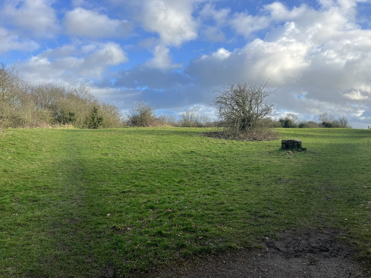 StevePritchard-Jones tweet media