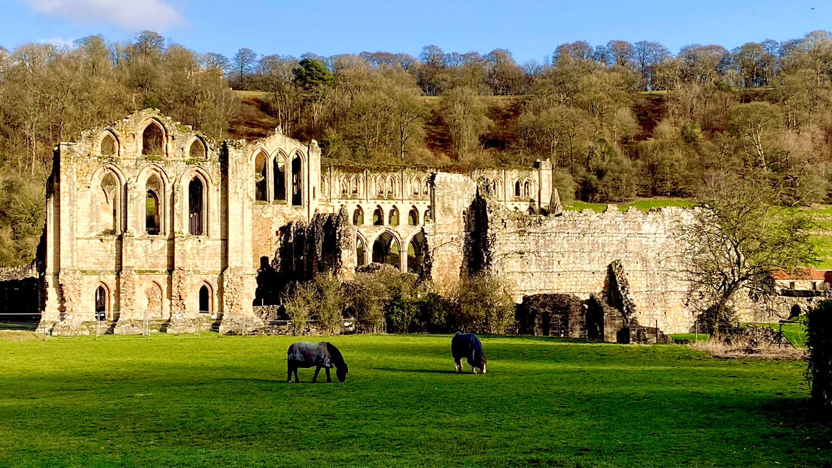 _davelee's tweet image. Good walk from Helmsley to Rievaulx Abbey, the first Cistercian abbey in the North of England…apparently. #brokenbits #yorkshire