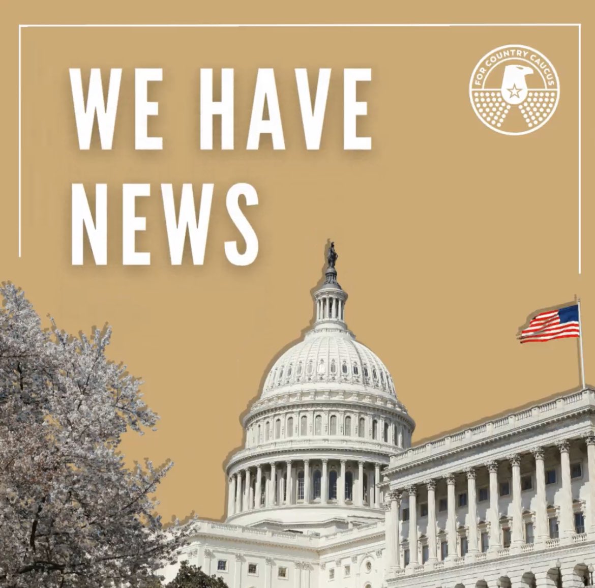 For Country Caucus tweet media