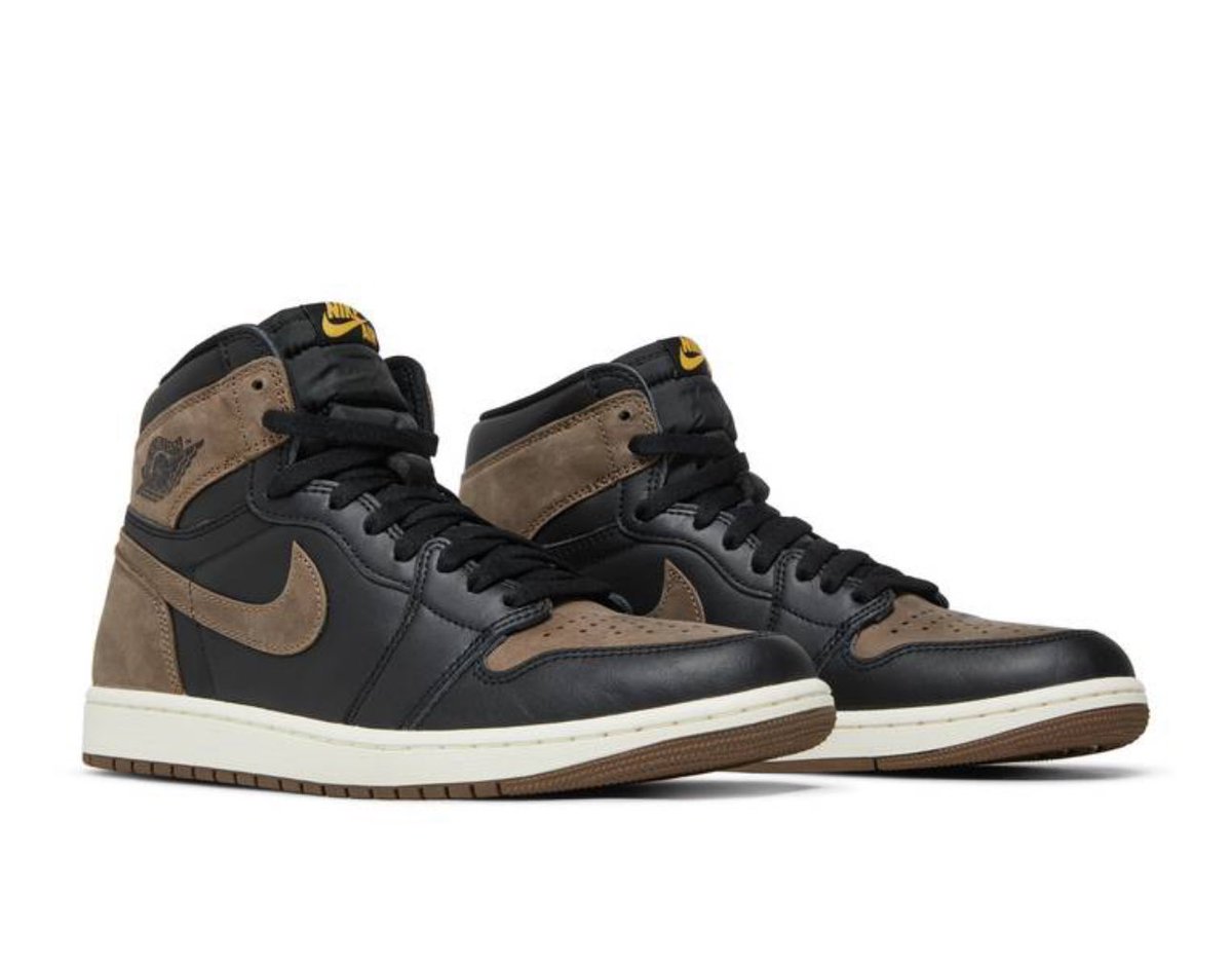 Kings of the Nawf 🐻⬇️ 12-7 tweet media