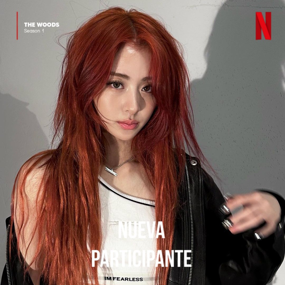 🏠🌲 tweet media