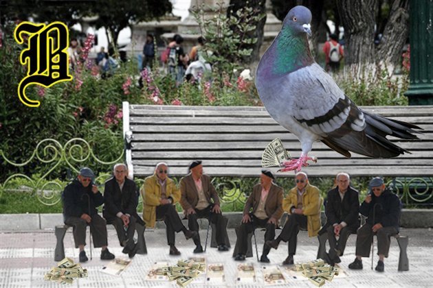 revisbarcelona's tweet photo. Por los recortes | A partir de ahora, las palomas les darán de comer a los jubilados https://t.co/E5dGHU33qB