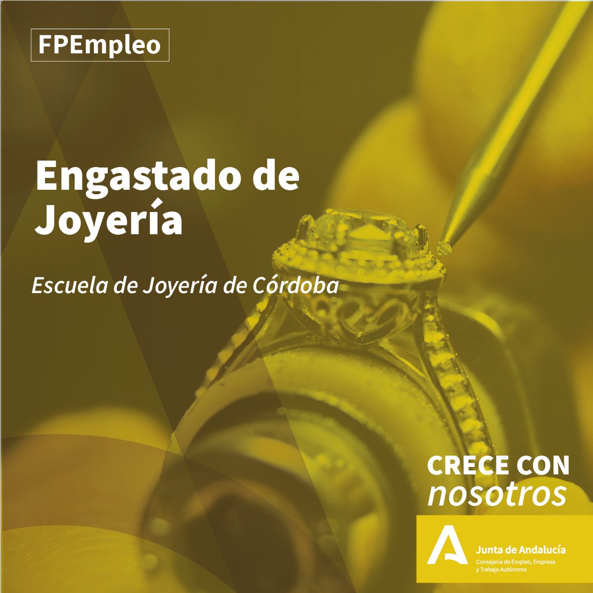 EmpleoJunta's tweet photo. Apúntate al curso gratuito de "Engastado de joyería" que se impartirá en la Escuela de Joyería de Córdoba. 

📅 Del 08/04/2024 al 25/07/2024
⏱️450h 
👩🏫Presencial

Inscripciones abiertas hasta el 6 de marzo➡️https://t.co/1iQME9eYFH

#FPEmpleo
#CreceConNosotros https://t.co/EH4A3b5UBi