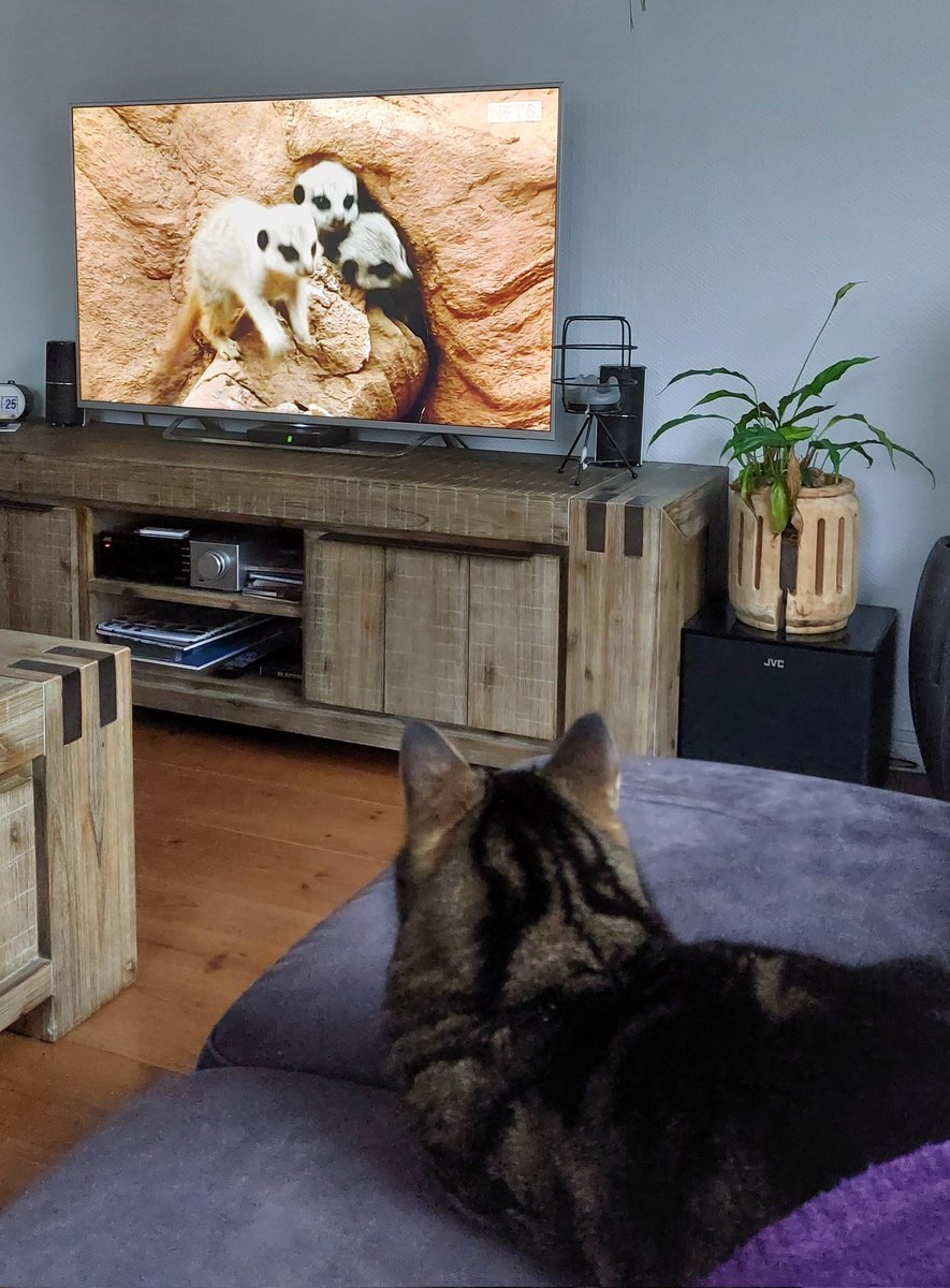 Marianneybos's tweet photo. Samen diertjes kijken. https://t.co/Xj3GStldOY