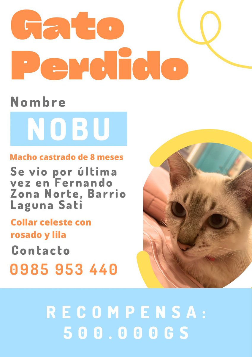 jessipiris's tweet photo. RT POR FAVOR 🙏 https://t.co/v0nWNKG6La