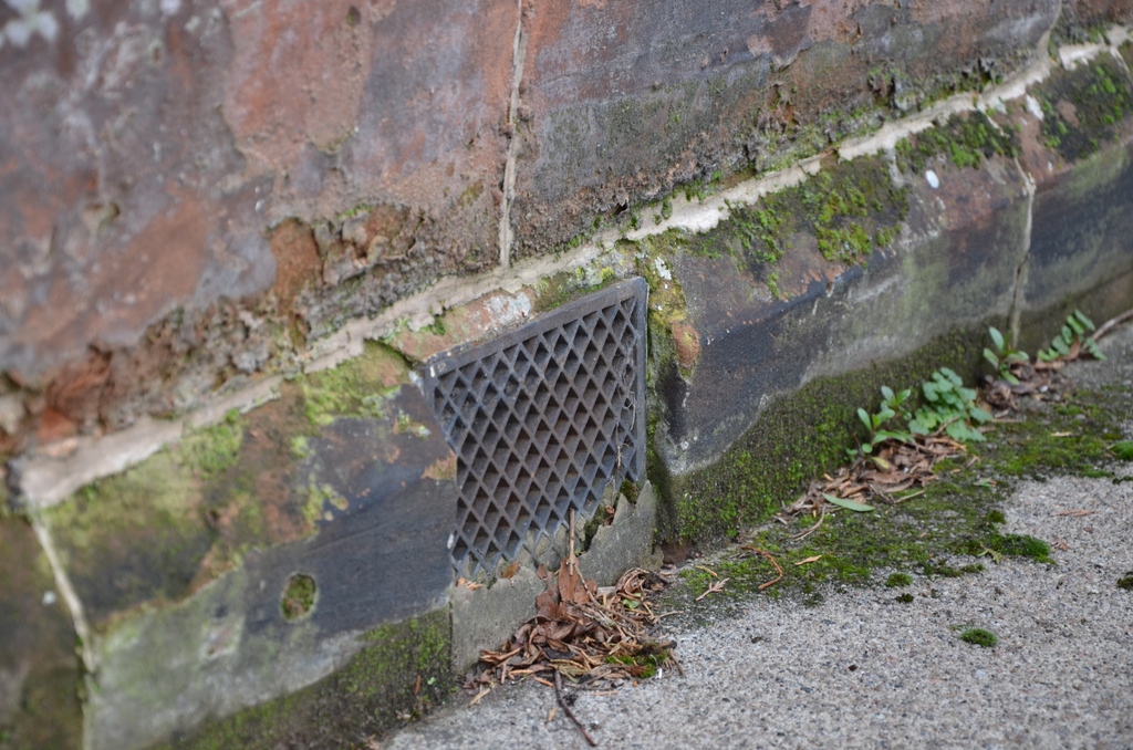 Did you know that John Burridge was the first to patent an air brick for ventilating sub-floors in 1865? Designed to aid in the appropriate ventilation of suspended wooden floors, they are often poorly maintained, overlooked, and blocked. How's yours looking?