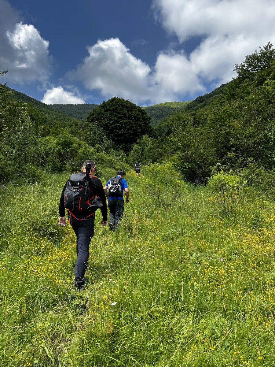 villaprespa's tweet photo. 🌲 Embrace the power of human exploration!🚶‍♂️Staying at #VillaPrespa and hiking through the breathtaking landscapes of Galicica and Pelister national parks is not just an #adventure—it's a journey towards inner peace and physical vitality. 🏞️🌿 #villaprespa https://t.co/qZGGzKURB9