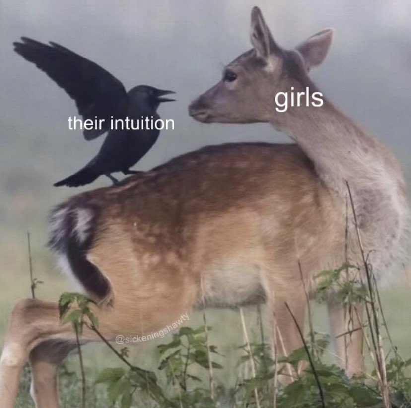 ✧ (@northstardoll) on Twitter photo 