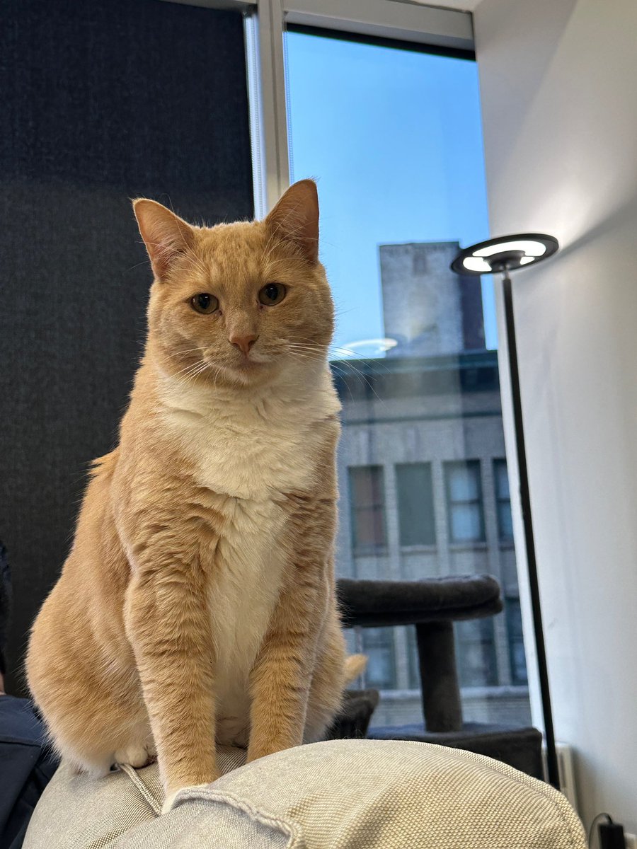 جنتلمن اگه عکس بود
#سیمبا