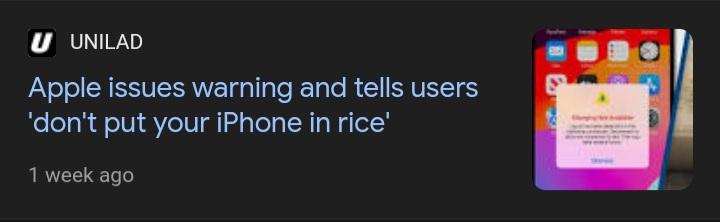 Hamdi_Id07's tweet photo. @thembo_8 @PicturesFoIder Your dream have meaning the squirrel was apple trying to stop you from putting your phone on rice https://t.co/6cRsUeY4GX