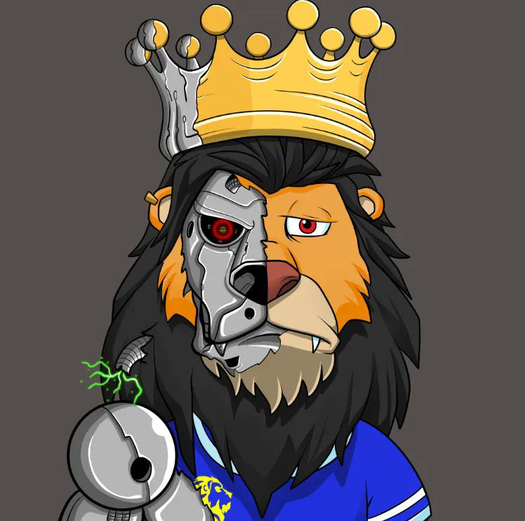 DDKing987's tweet photo. @mattzman426 @nftDavidson @LazyLionsNFT @TLeeTrades @kaneco @Sola_Origin @localcryptogod Name another community who built a bot that fights the weth bots (preventing floor deterioration) in the bear with 0 and I mean ZERO HELP from the old founders. @LazyT1000 #Terminators https://t.co/AhvdLstmDR