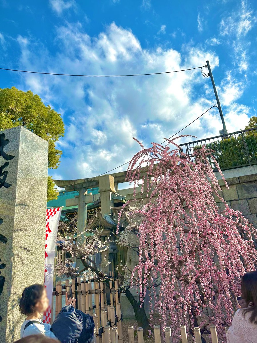 大阪天満宮⛩️

てんま天神梅まつり✨

試験の合格を祈り「登龍門」を通り抜け参拝出来る日で、祈願する学生さん達の行列ができていました
さすが学問の神様🙏

梅の花見に
『盆梅と刀剣展』へ☺️