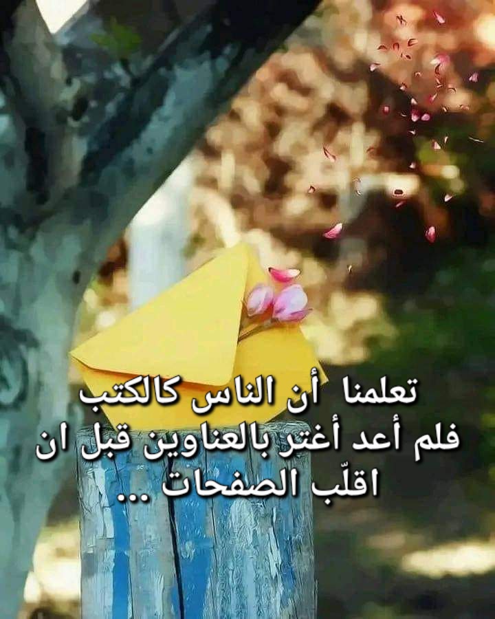 MunaEl3's tweet photo. https://t.co/yLcrYwhFeu