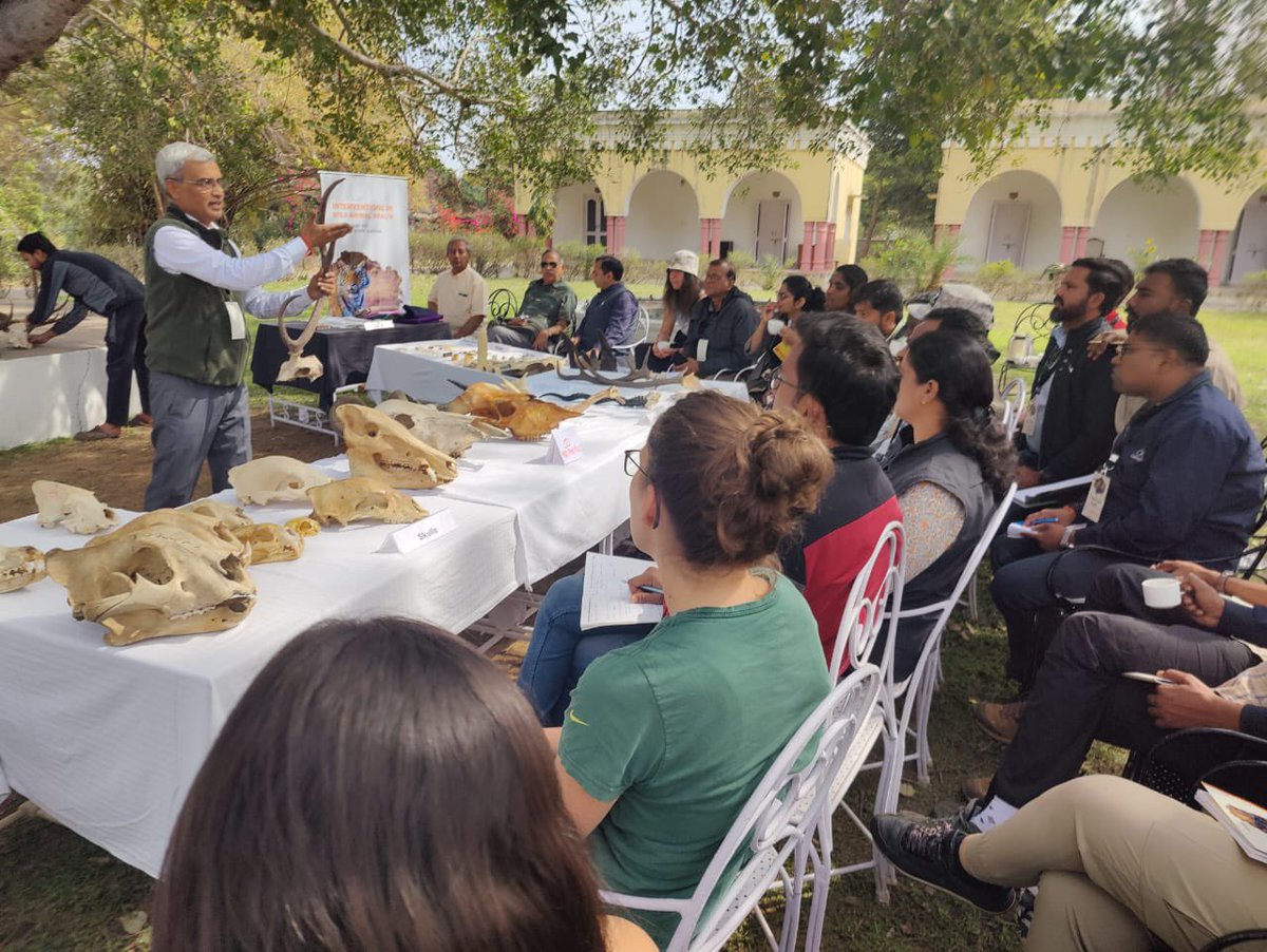 Wildlife Institute of India tweet media