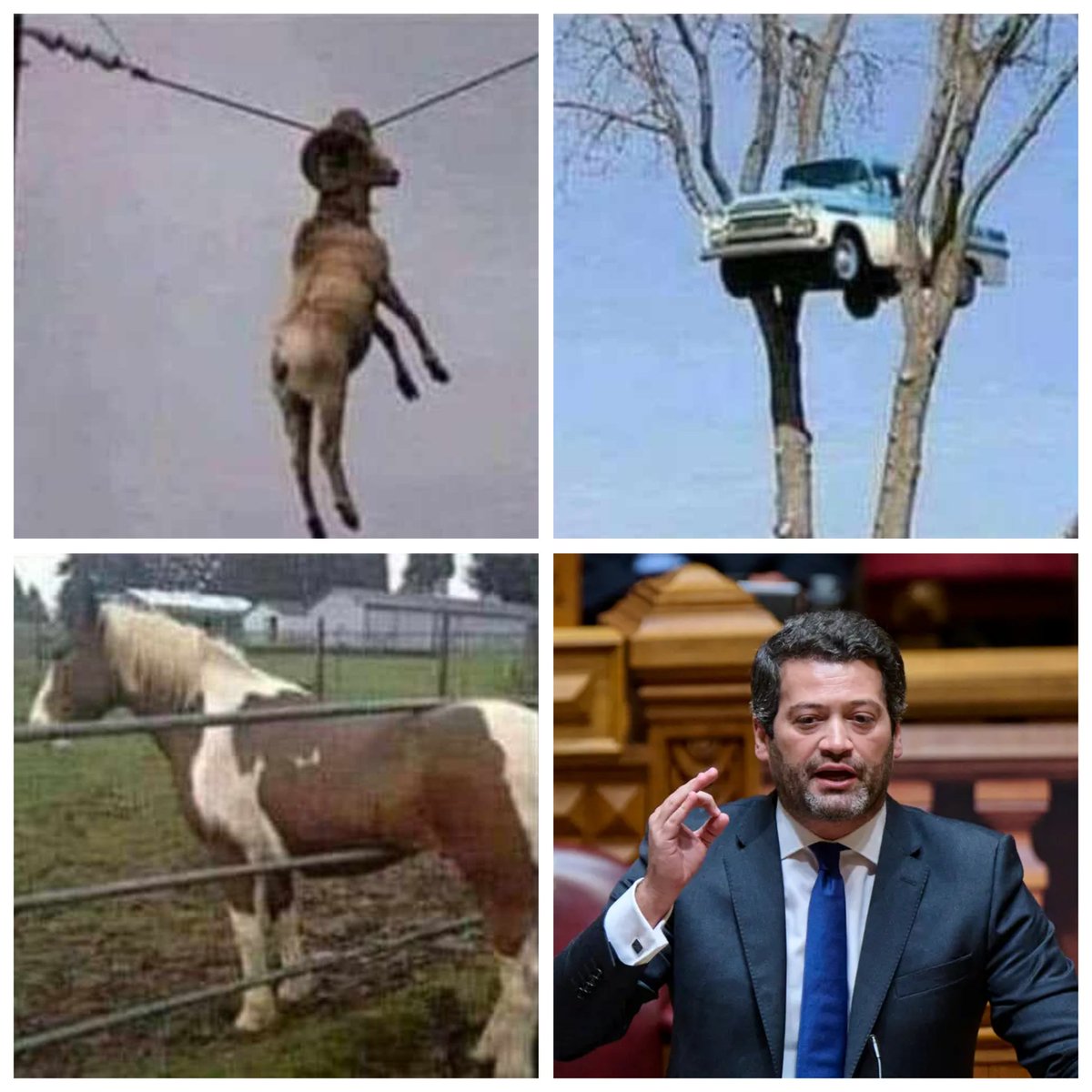 Sabe quando você olha para uma coisa e se pergunta "como essa merda foi parar lá? “