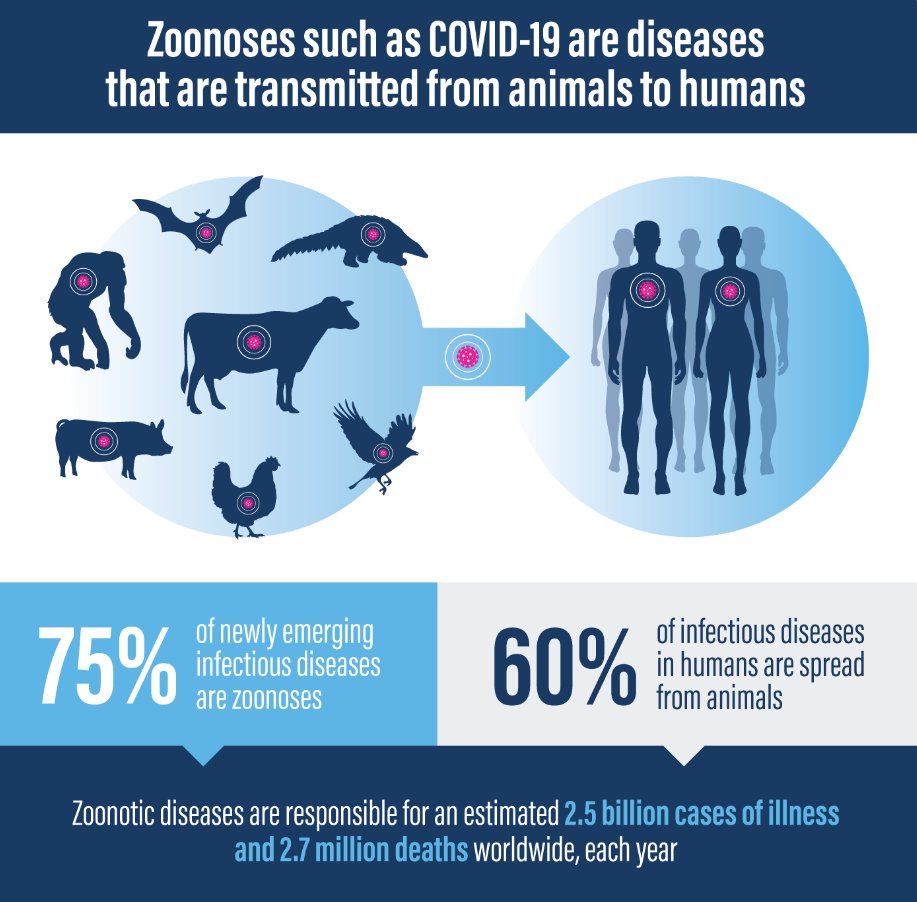 The EVIW 2024 will showcase the latest veterinary immunology research. Controlling infectious disease at source is the most effective way to prepare for future disease challenges and support sustainable agriculture. Join us at http:eviw2024.org. Image: World Econ Forum