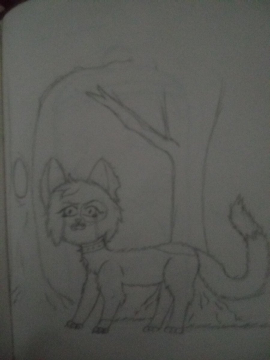 Ruby ★ 🍉 | CEO of Whiterose ❄️🌹 tweet media