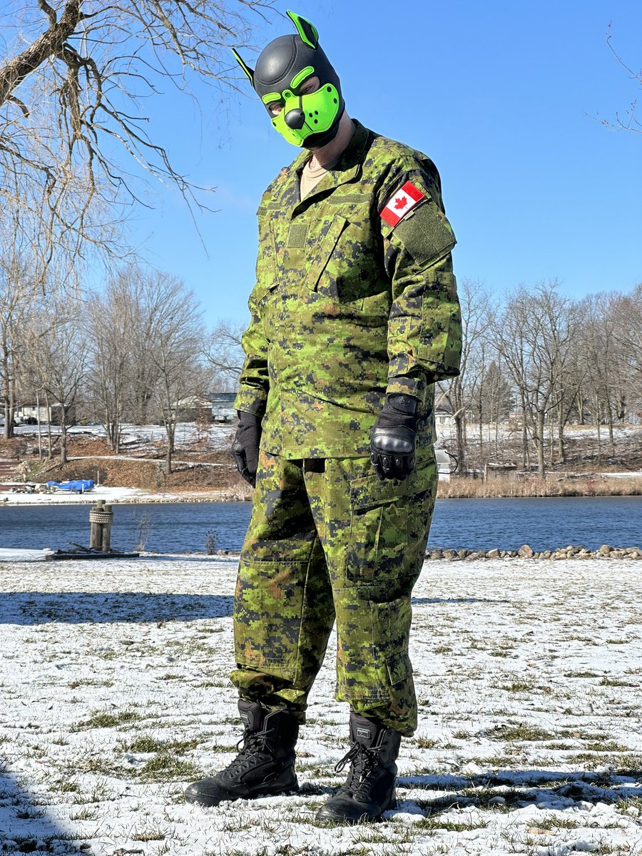 Smellyhockey's tweet photo. Woof! Love being a Canadian army pup. https://t.co/5YTR4FrMxa