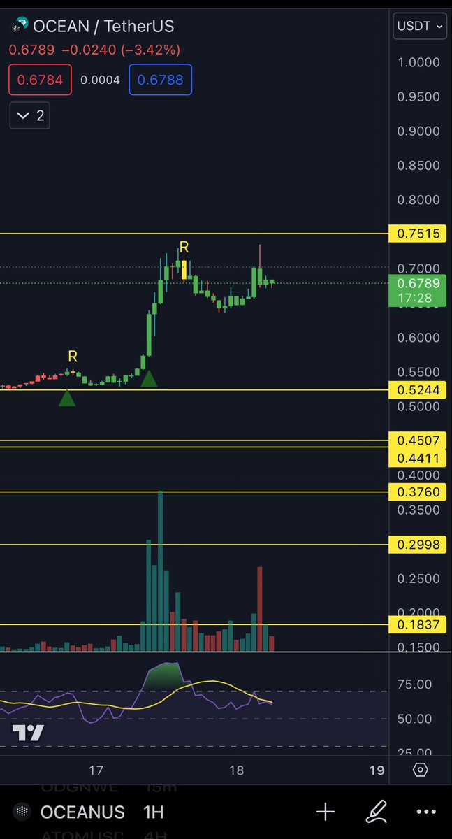 $OCEAN weekly and 1hr

Looking interesting as the AI theme picks up