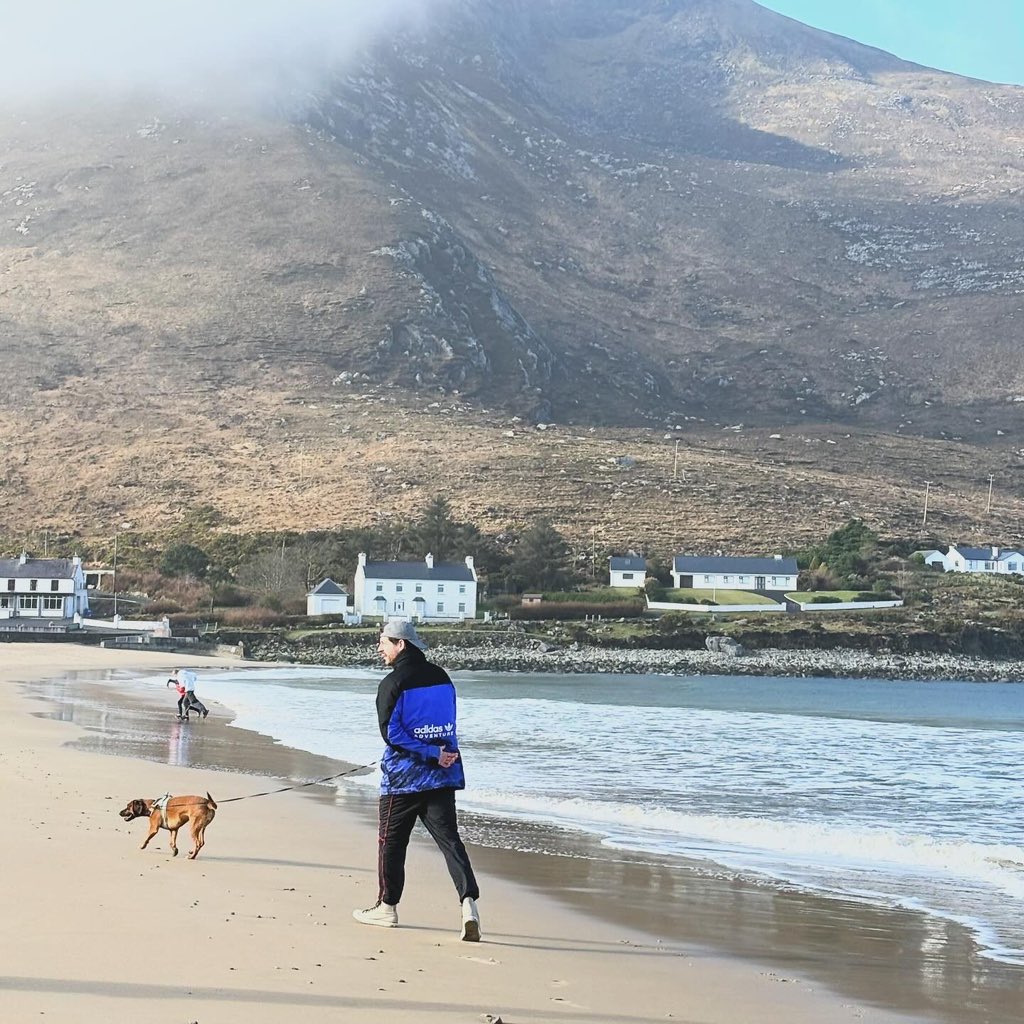 breenmurph's tweet image. Mid term