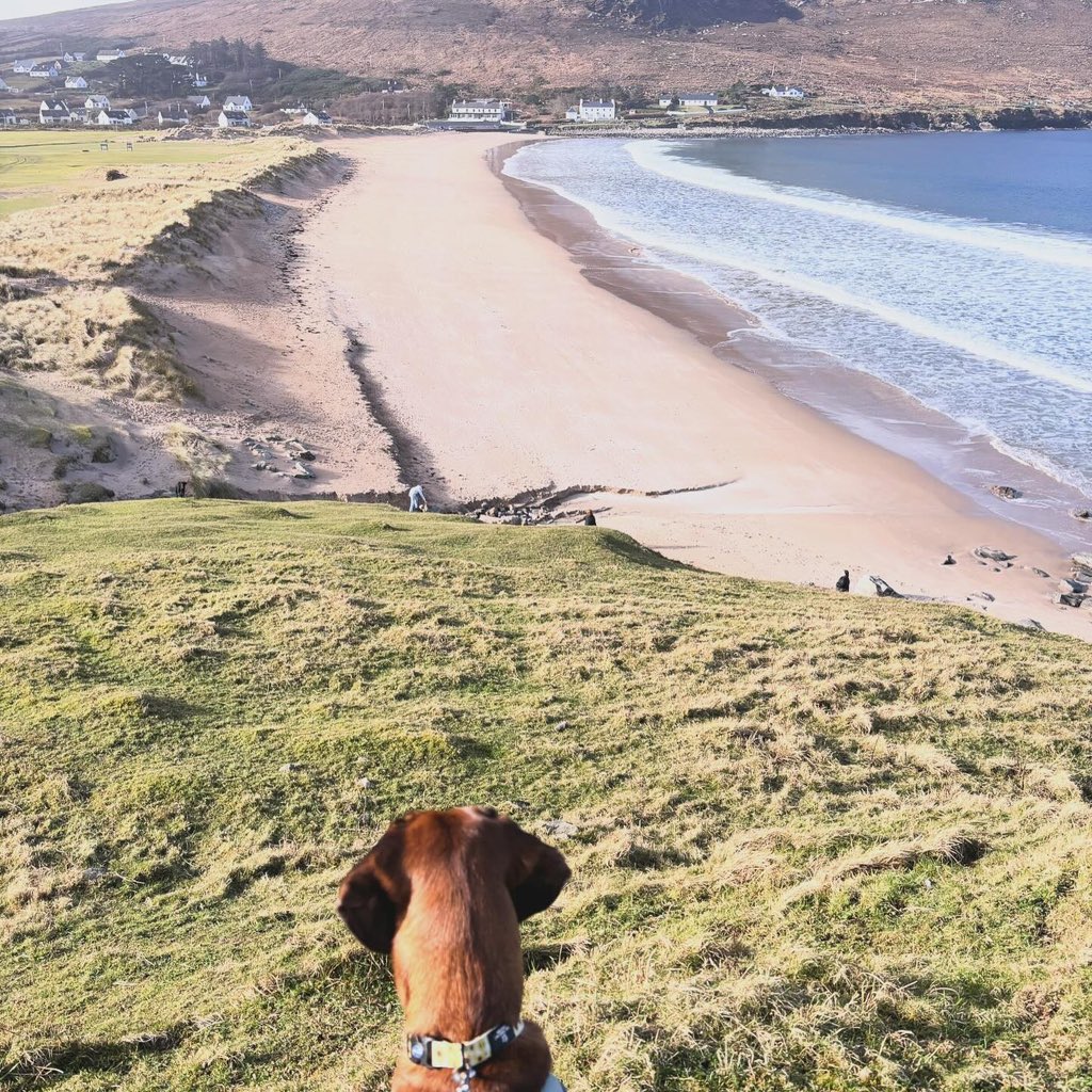 breenmurph's tweet image. Mid term