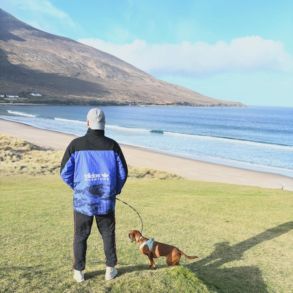 breenmurph's tweet image. Mid term