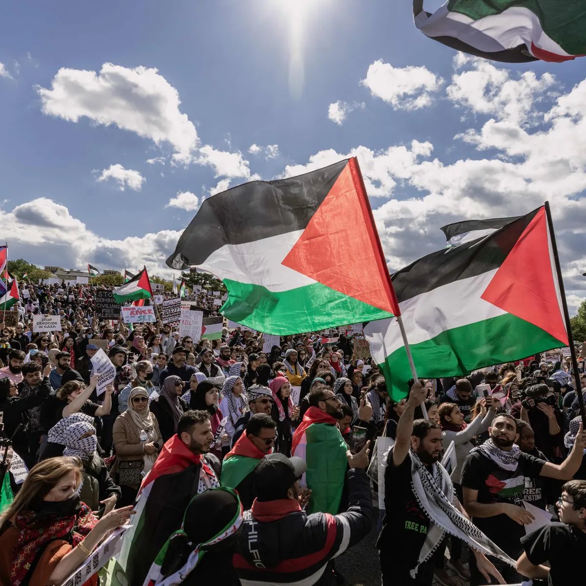 altigaytor's tweet photo. goodmorning everyone!

i urge you not to ignore the strike this week. please repost anything about palestine and if you can, post about it yourself!

from the river to the sea! https://t.co/ewbbqiR64U