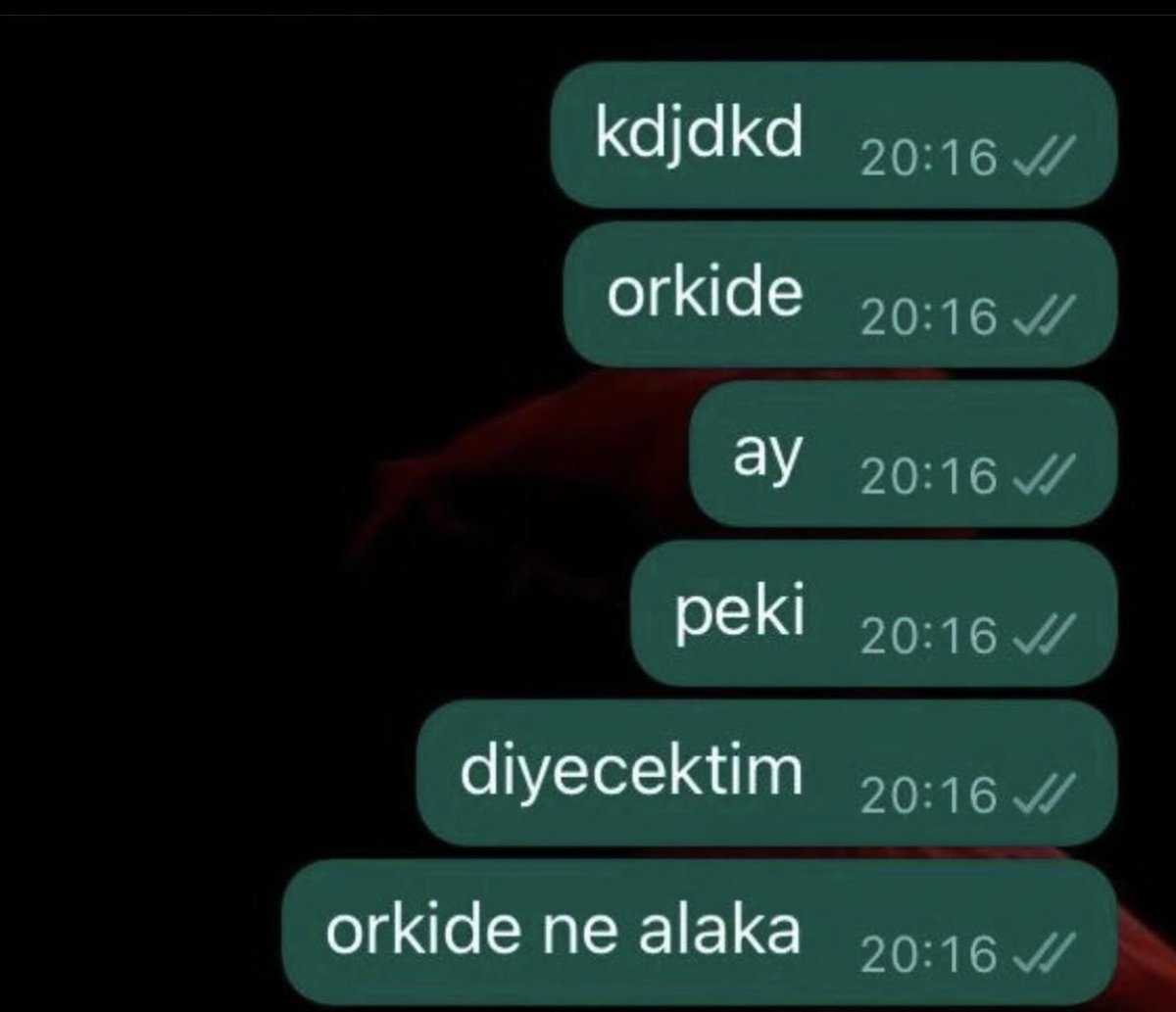 amnbosversene's tweet photo. aşk böyle bişey mi ya.. https://t.co/YsYampTWV9