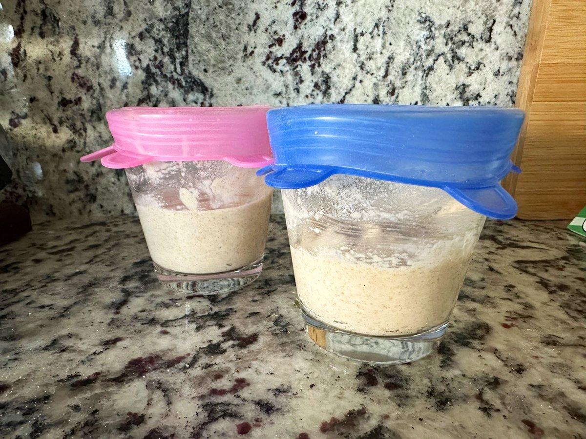 Sourdough Life:

⏰🤞🙏 Waiting, hoping, praying the bubbles show up and that you haven’t killed your culture…

… because gotta bake lots of bread soon! 🥖

#sourdough #sourdoughbread #bread #homebaked #sourdougghculturr #yeast #bacteria #freshbread #sourdoughstarter