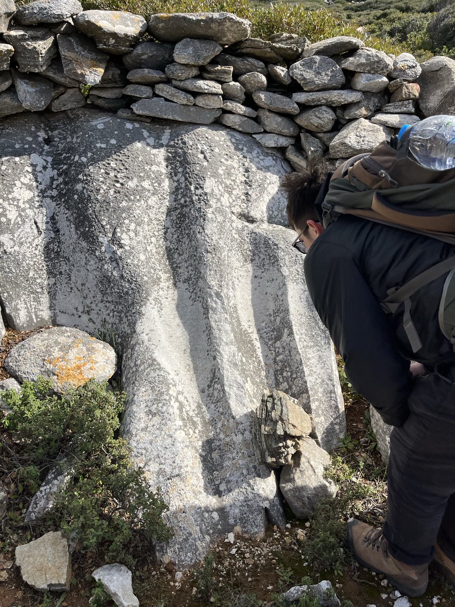 Rebecca Levitan tweet media