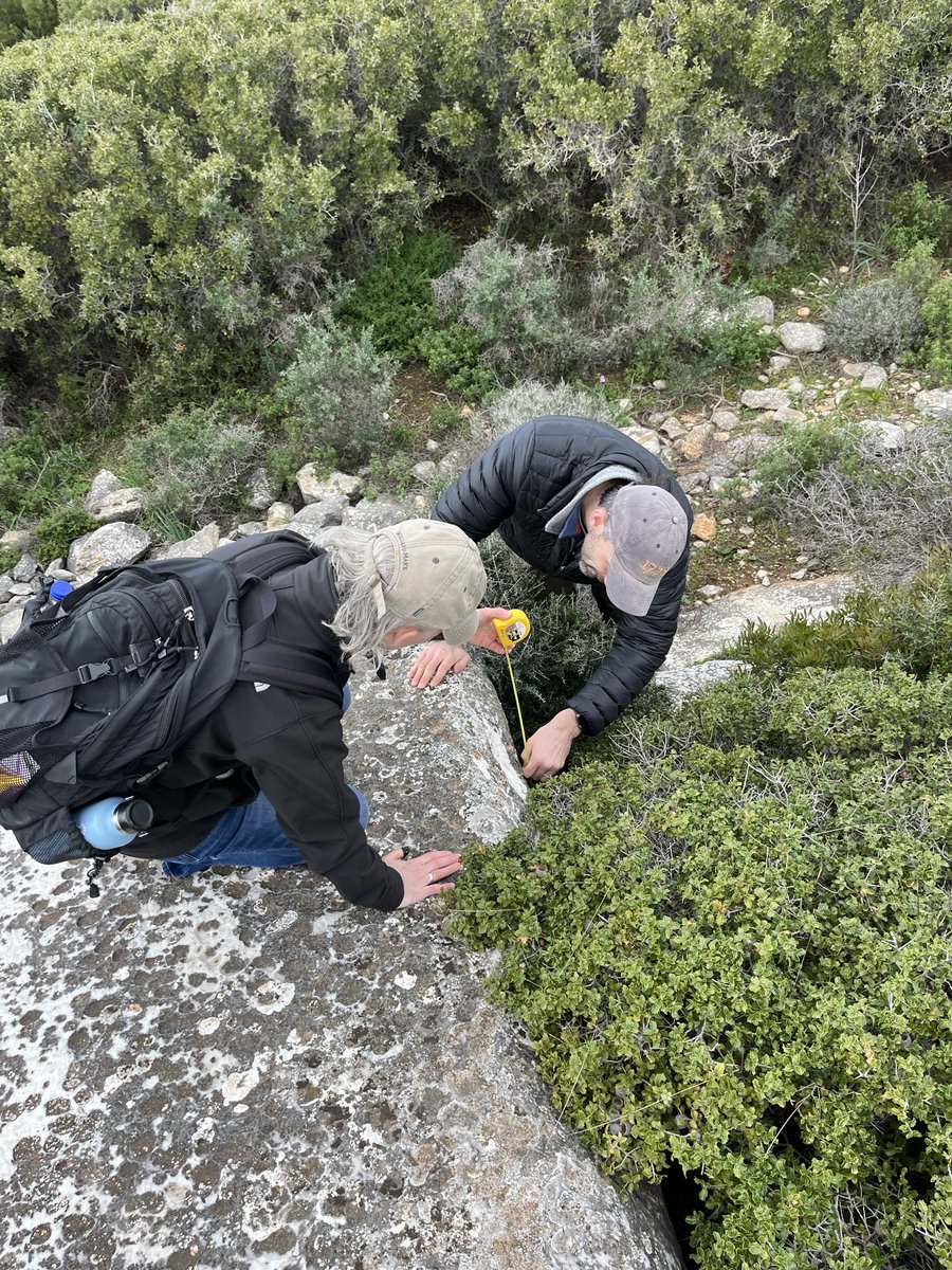 Rebecca Levitan tweet media