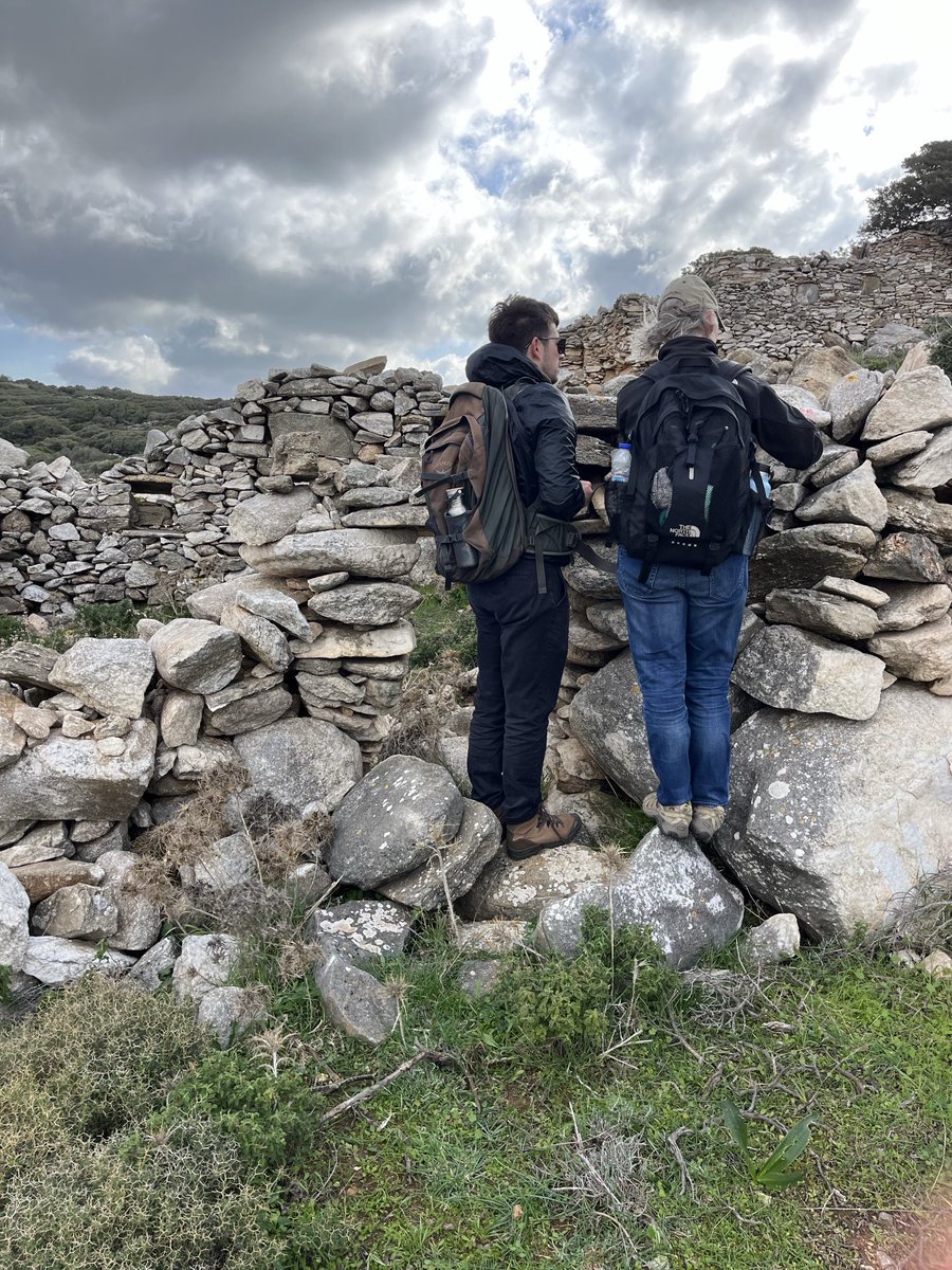 Rebecca Levitan tweet media