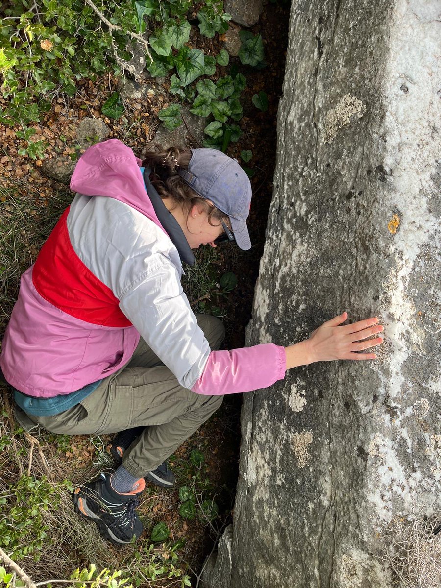 Naxos rocks! 🪨🪨🪨 
Day 2 of the Naxos Quarry Project was all about getting oriented in the Archaic  quarry of Melanes, looking for signs of human alteration to the landscape &amp; reuse of ancient blocks in modern structures.

#greek #archaeology #landscape #geology #marble #naxos