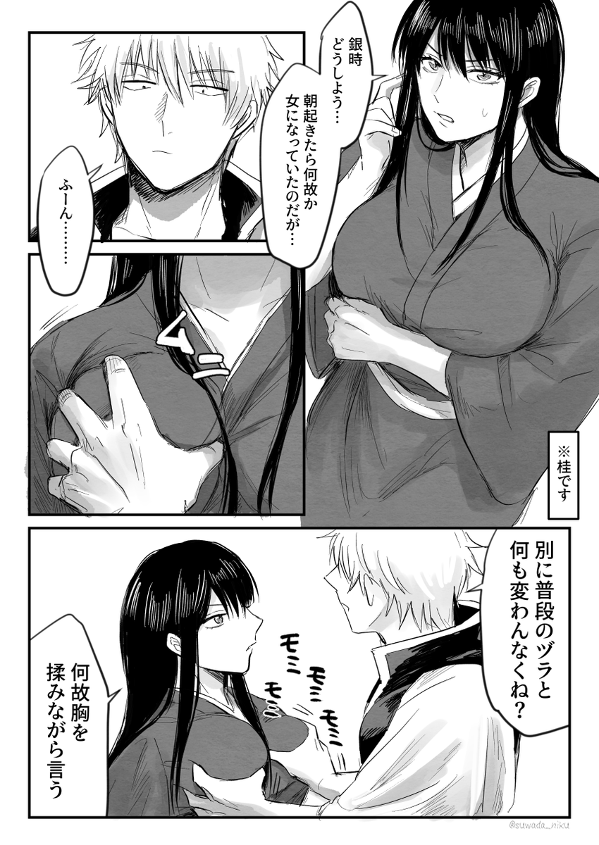 おまけのにょヅラちゃん 銀桂 