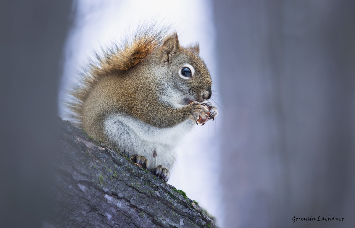 Martin Irein || Väinämö Helle 🇨🇿 🇺🇦 🇮🇱 tweet media
