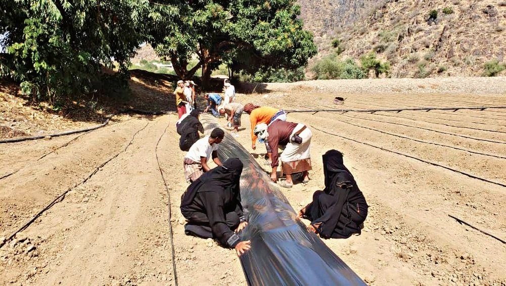 SFDYemen's tweet photo. Water scarcity and #FoodInsecurity are critically structural challenges for Wisab Alsafil farmers.

In the face of these risks, #SFDagr &amp; @IFAD provide farmers more flexible irrigation and production technology to protect their and others' lives

#YemenCantWait https://t.co/fVFTqBlDd7