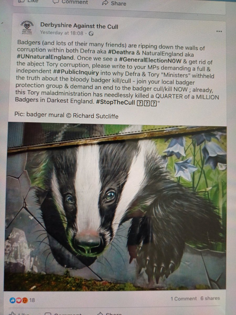 Very telling that the only posts advocating a continued #BadgerCull are either anonymous #trolls &/or bloodsports sadists who #KillForKicks 
The #ToryBadgerKill is inextricably linked to #BirdShootingBloodsports 
 #JustBanShoots #StopTheCull