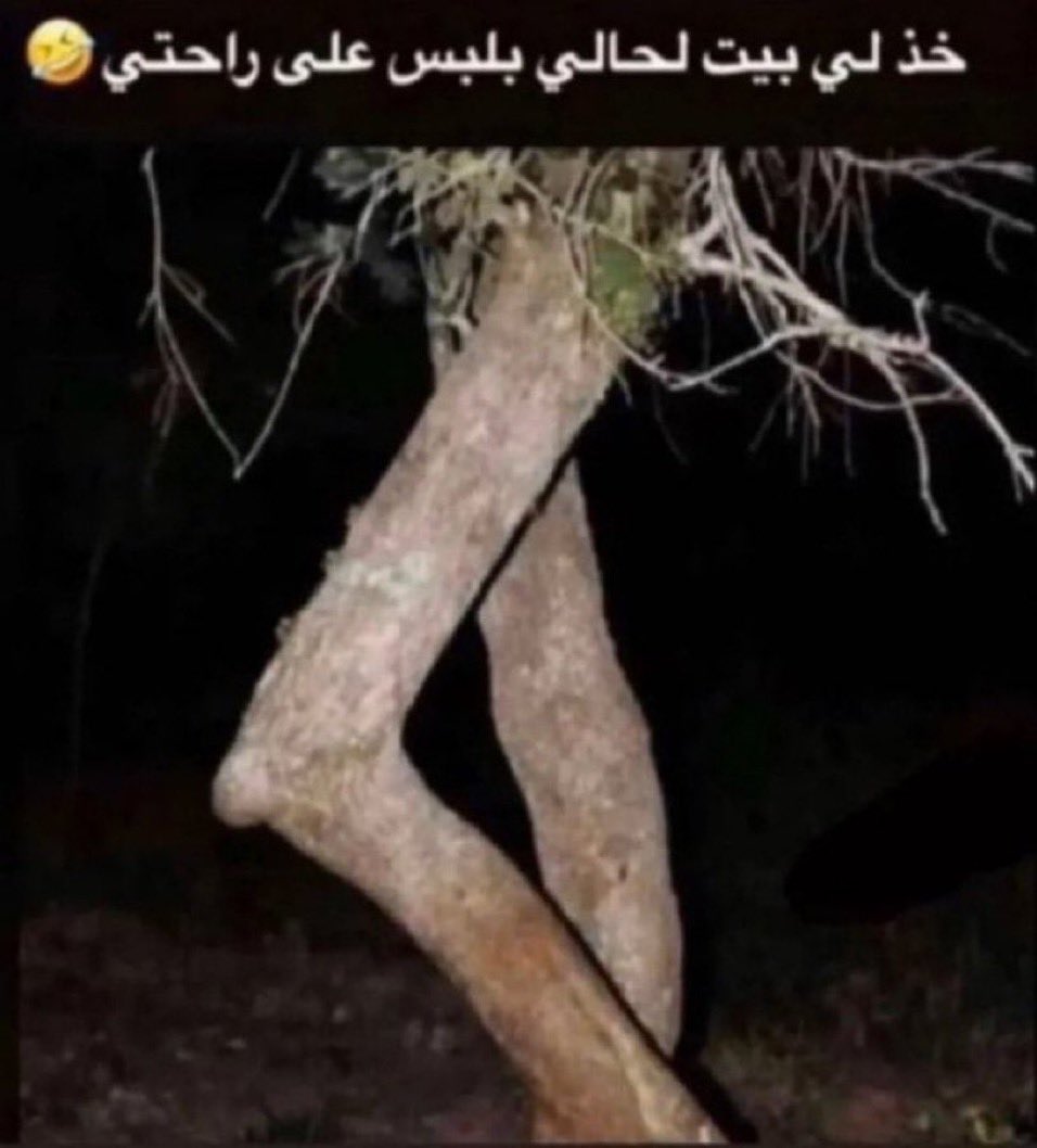 Naif tweet media