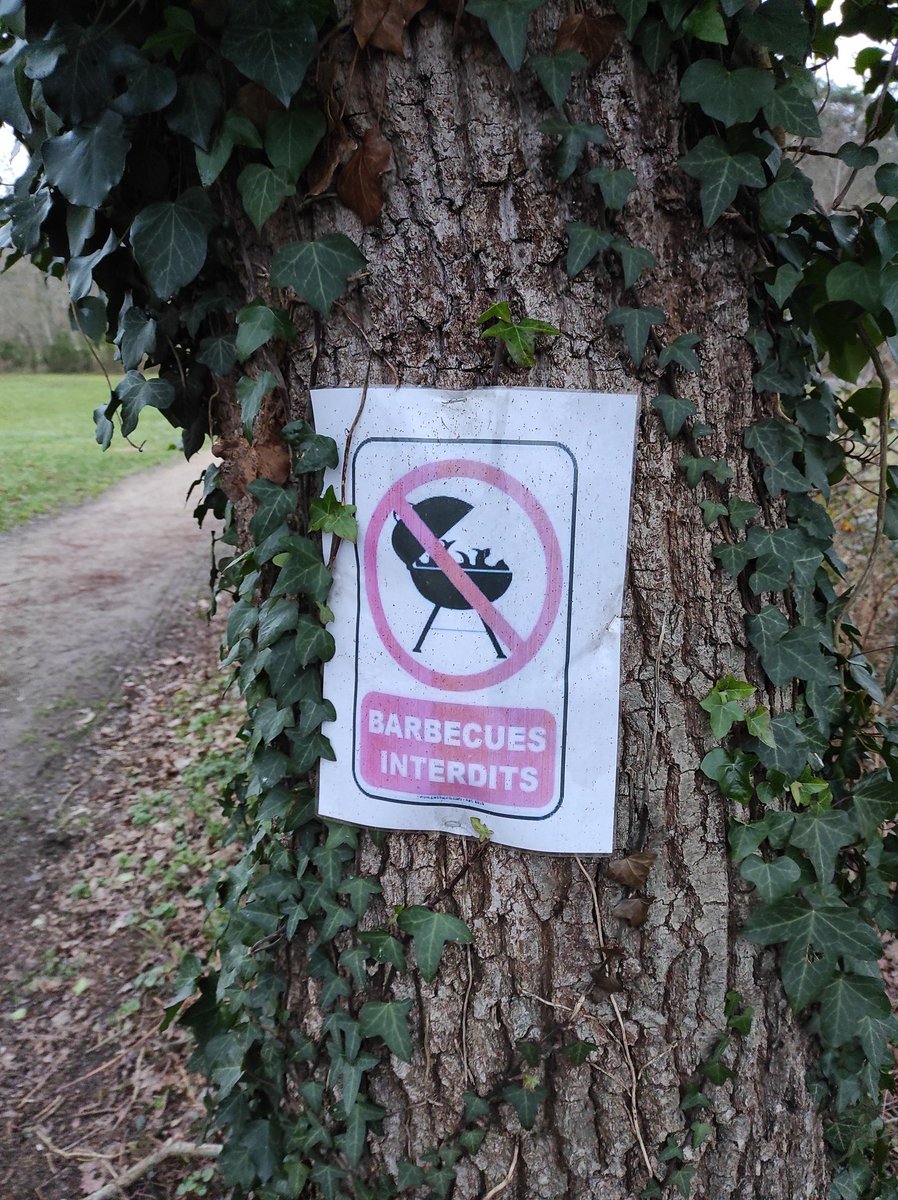 chgueguen's tweet photo. Bonjour @ofcourselemans, ce serait pour signaler un attentat arboricole à base d'agraffes et de pochettes plastiques du côté des bois de l'Epau @SLeFoll 
En plus sur un arbre qui n'est pas voué à disparaître https://t.co/aKtcsvGQYw