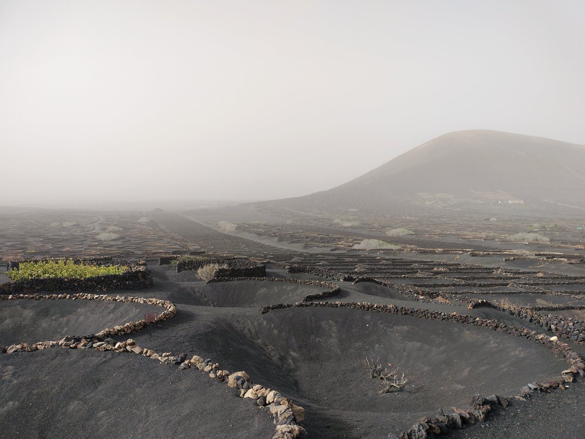 Calima intensa sobre #LaGeria. 🔸Domingo, 18 de febrero. #lanzarote #dolanzarote #calima