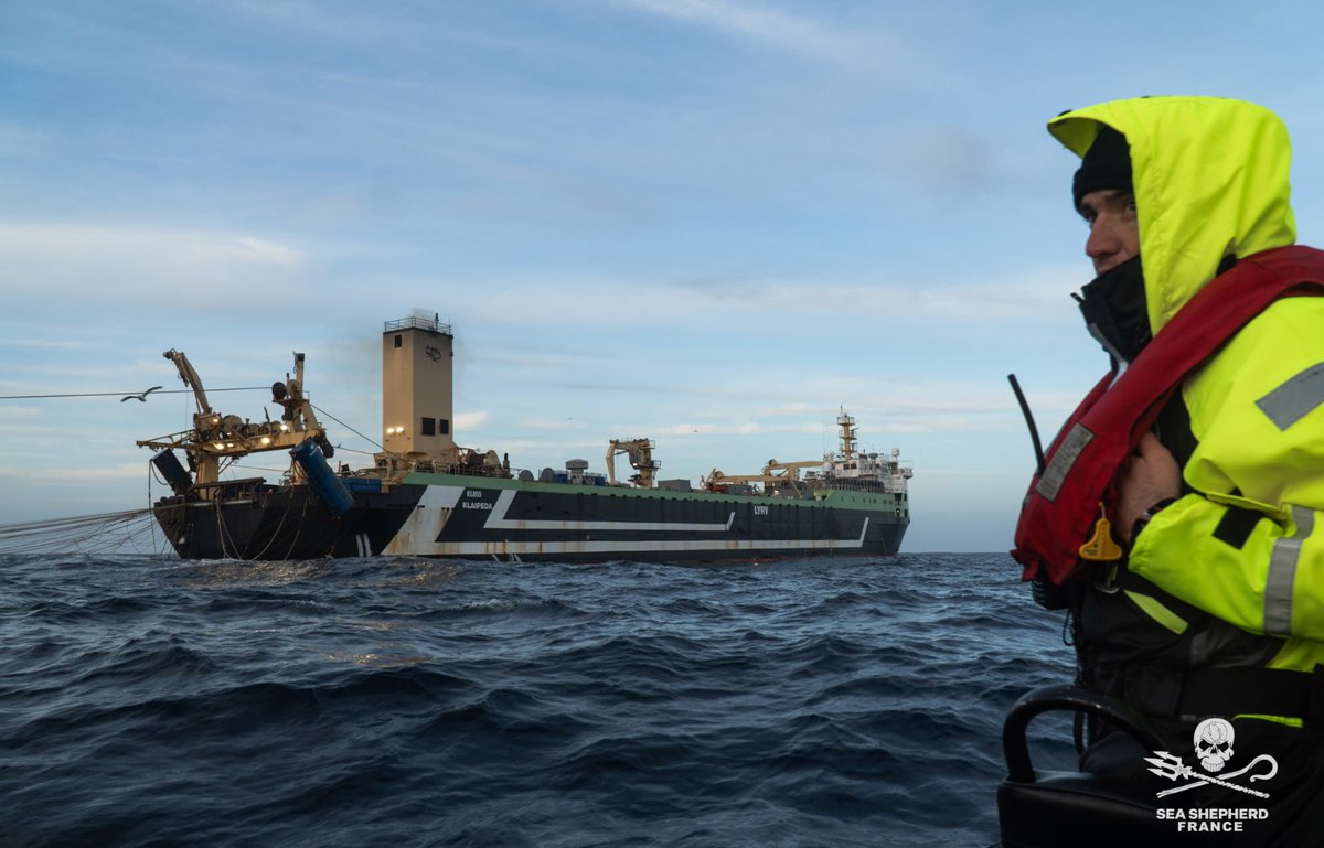 Sea Shepherd France tweet media