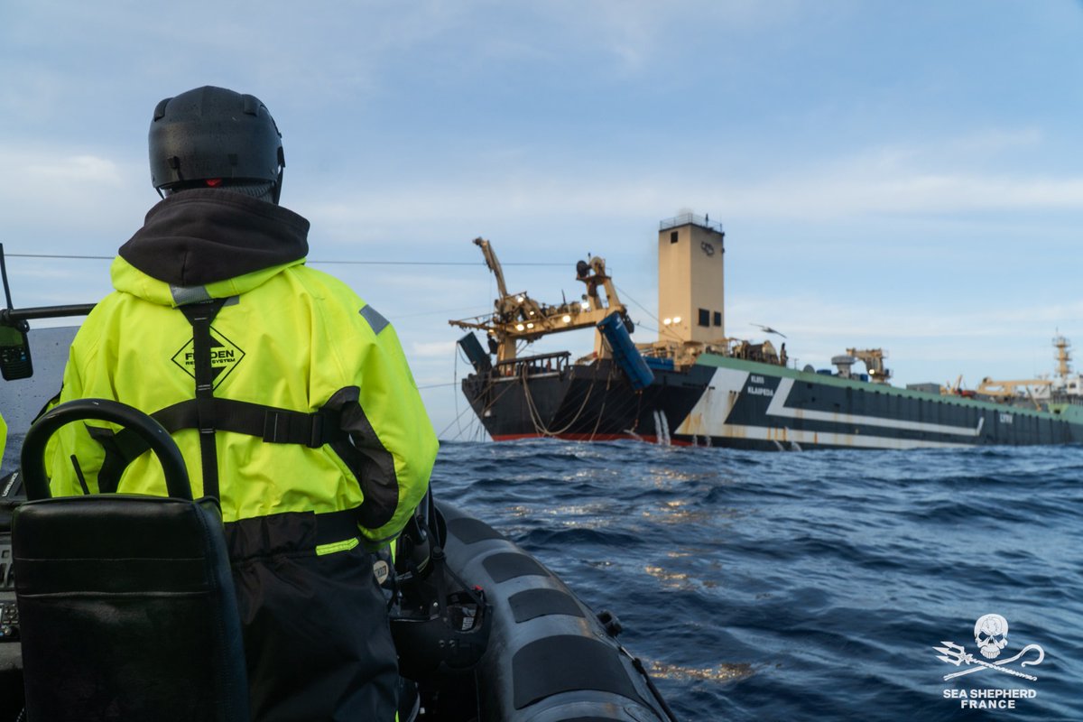 Sea Shepherd France tweet media