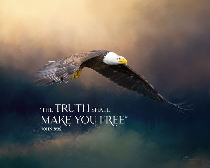 “And you shall know the truth, and the truth shall make you free.” - John 8:32 “Therefore if the Son makes you free, you shall be free indeed” - John 8:36