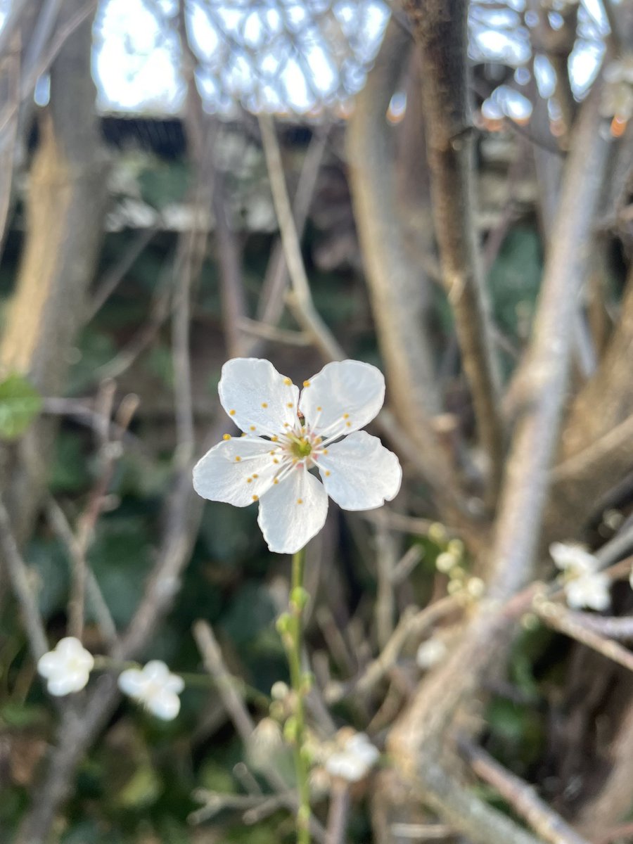 Is there anything better than some sunshine after night shifts? Spring is on its way ☀️🌷🌊 #sleepdaysarenotdaysoff #spring #nurse