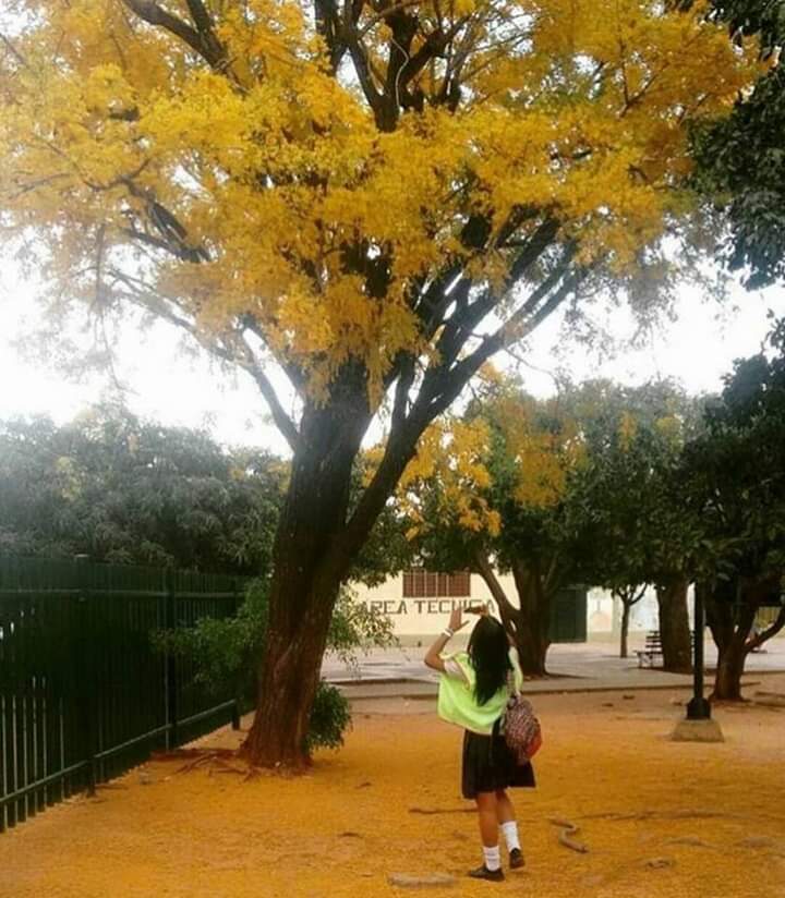 valleduparTQuie's tweet photo. Nunca serás feliz si no dejas de mirar hacia atrás, las cosas llegarán a ti el día que tú dejes de buscar. Sólo vive y permite que Dios tomé el control. #Agradecida y #Confiada en #Dios que todo lo puede 😍👏 https://t.co/wayGXVc95s