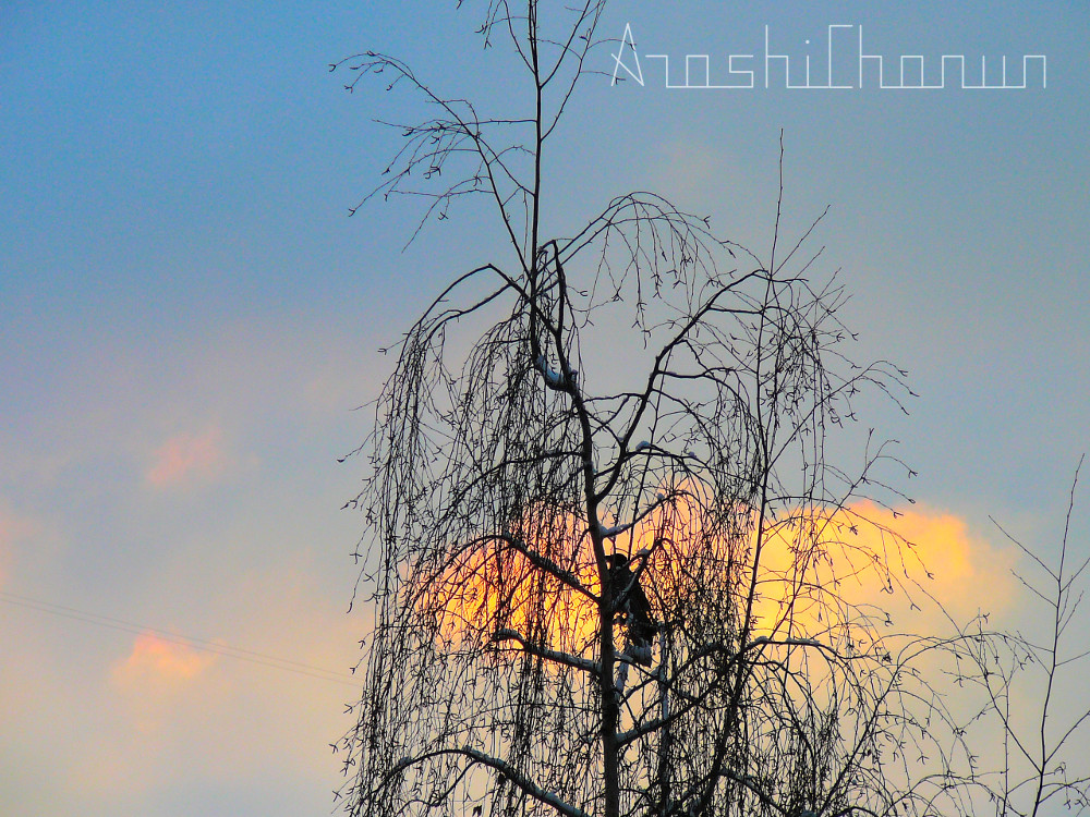 ArashiChanun (@arashichanun) on Twitter photo 