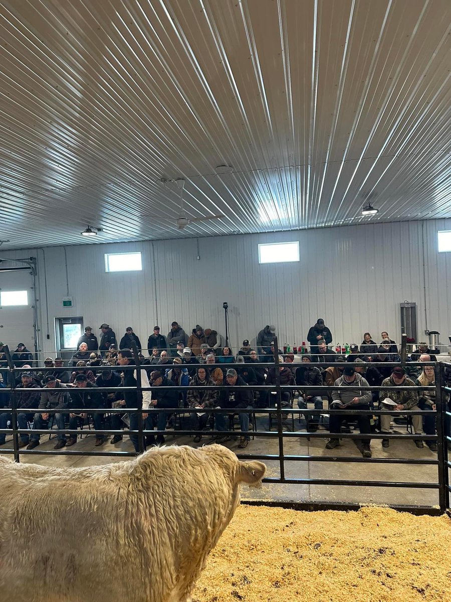 Steppler Andre tweet media