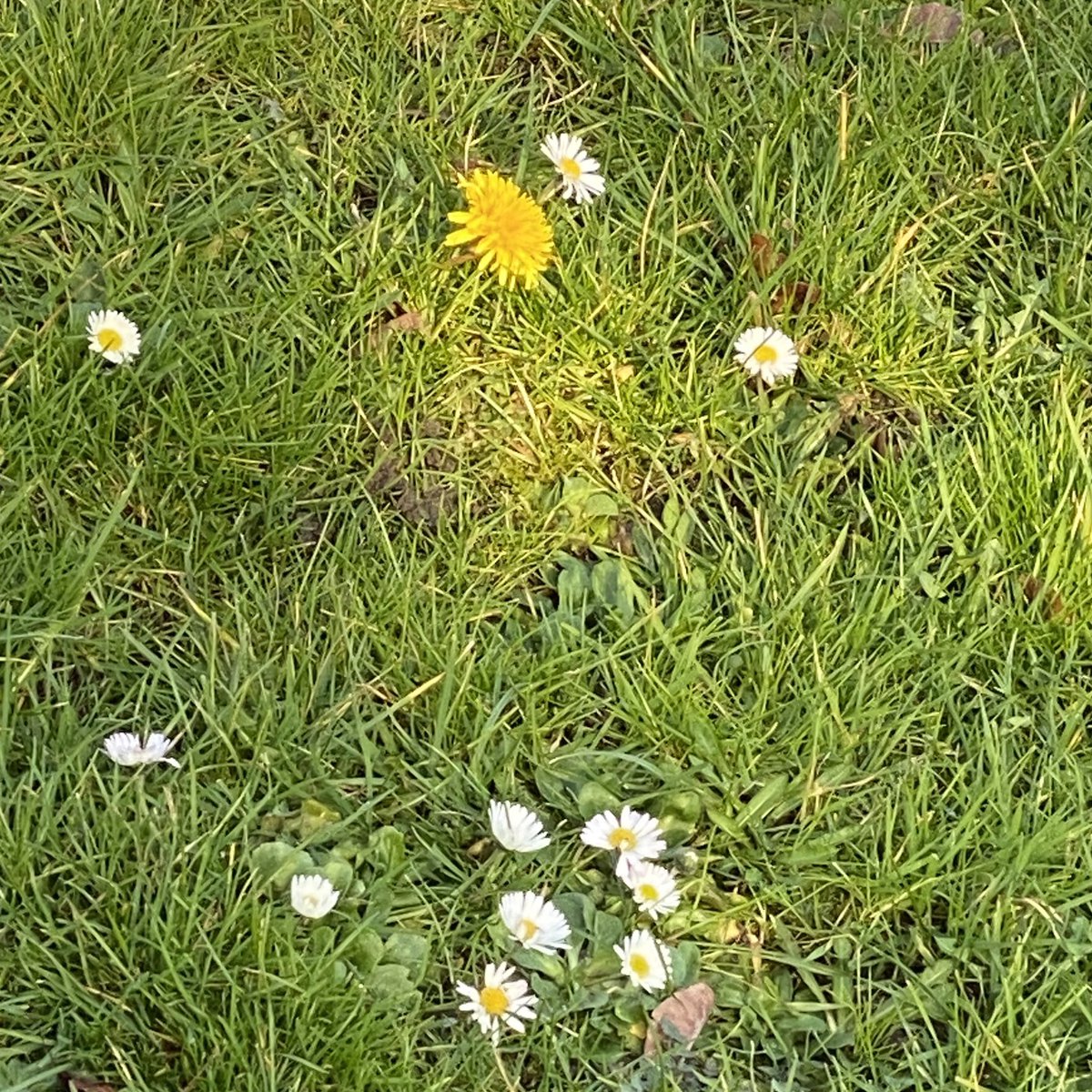 Martin Trusler tweet media