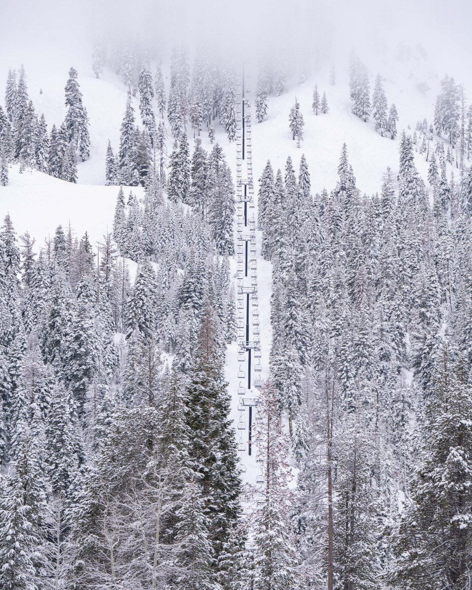 Palisades Tahoe tweet media